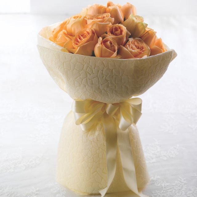 HB 1709 CHAMPAGNE & CREAM