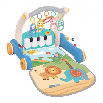 BG 2119ST GYM / WALKER