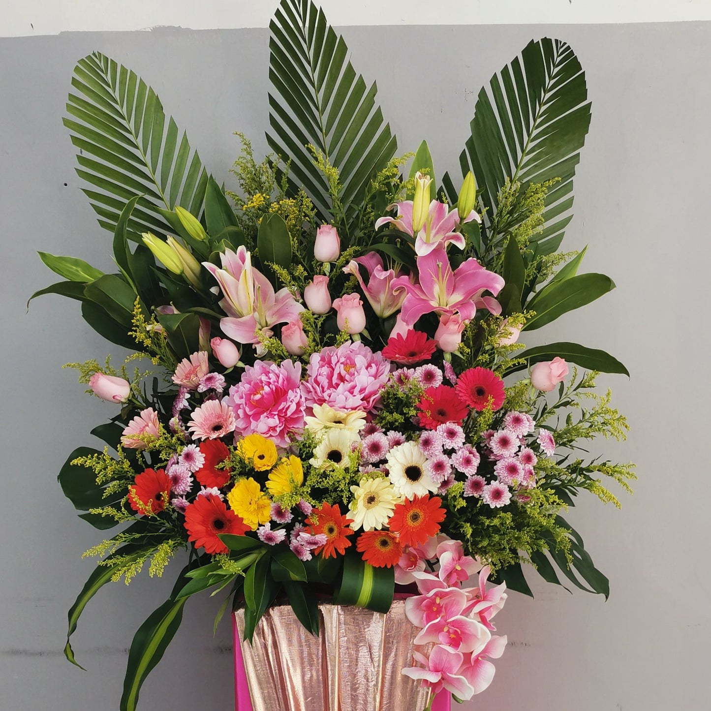 CG 660 SPLENDID CELEBRATION
