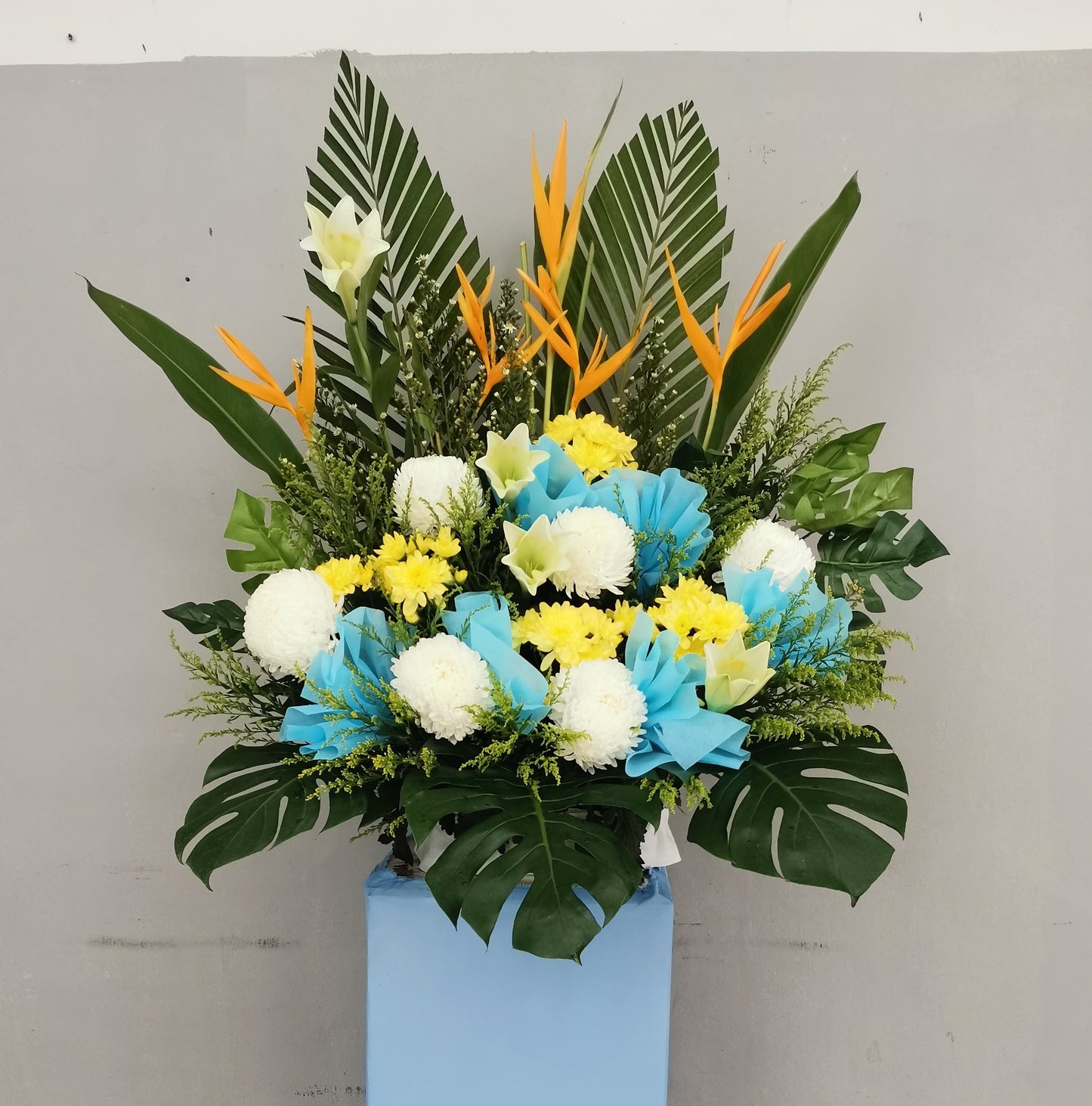 WR 2112ST SYMPATHY