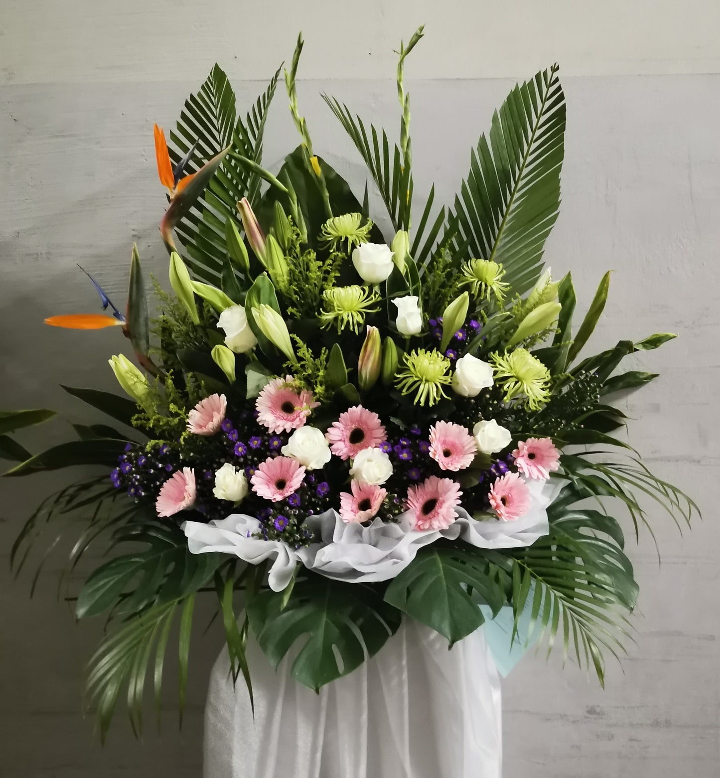 WR 2123 GRACIOUS