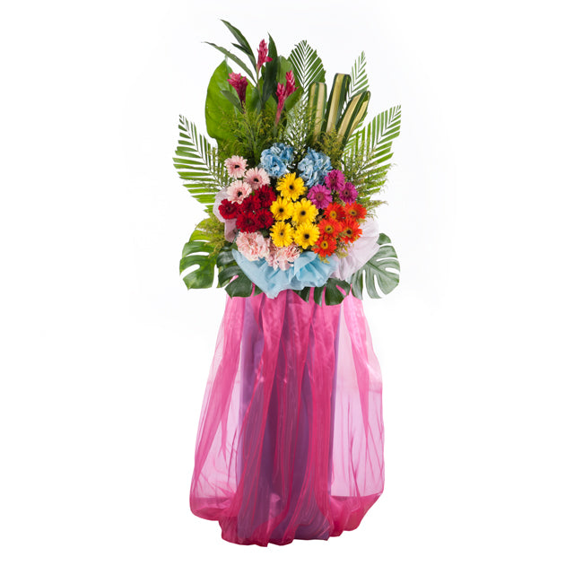 CG 692 PROSPEROUS CELEBRATION