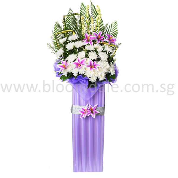 WR 2108ST REMEMBRANCE