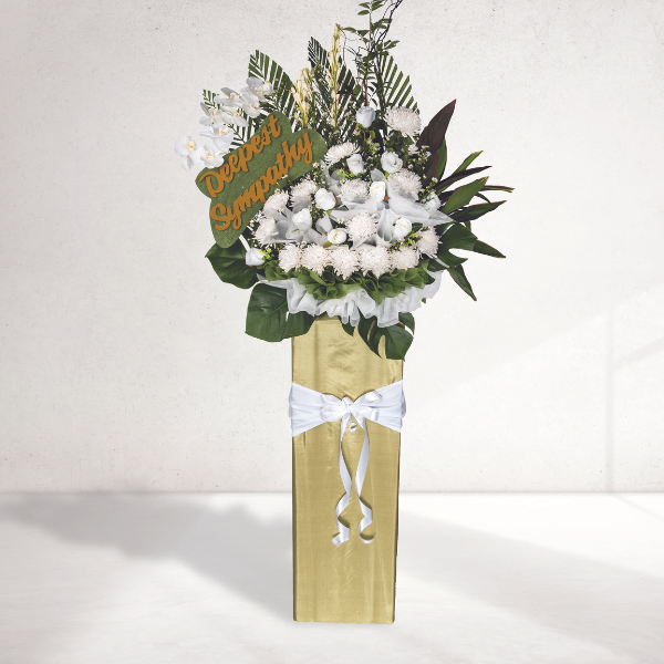 WR 2112ST SYMPATHY