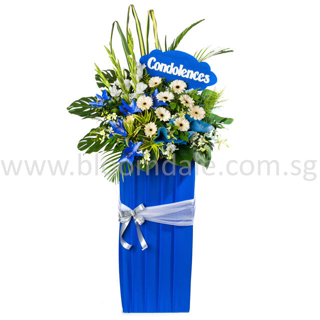 WR 2114ST BENEVOLENCE