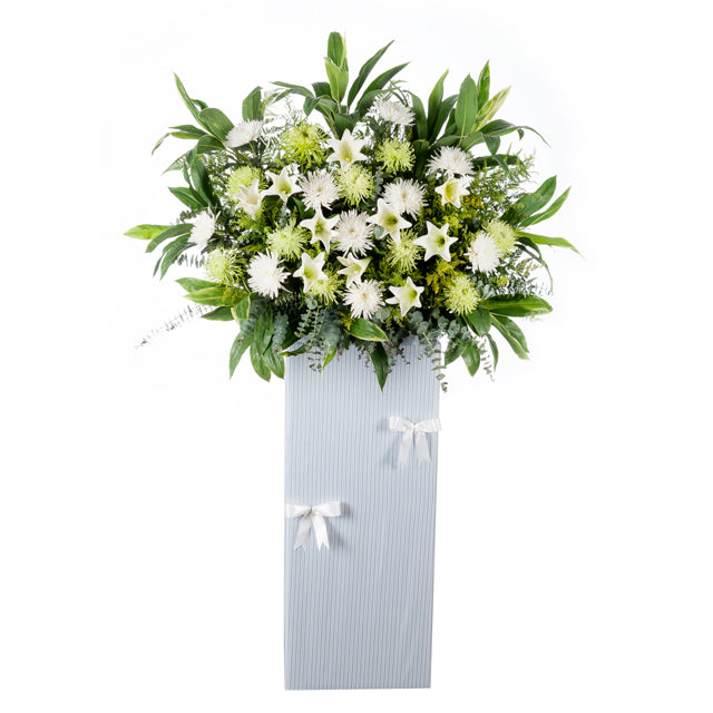 WR 487 BENEVOLENCE